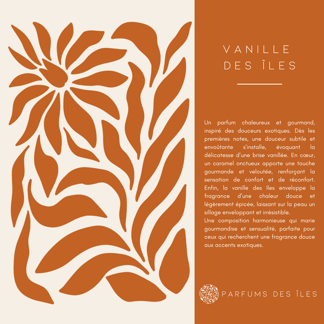 Echantillon Vanilles Créoles 2 ml