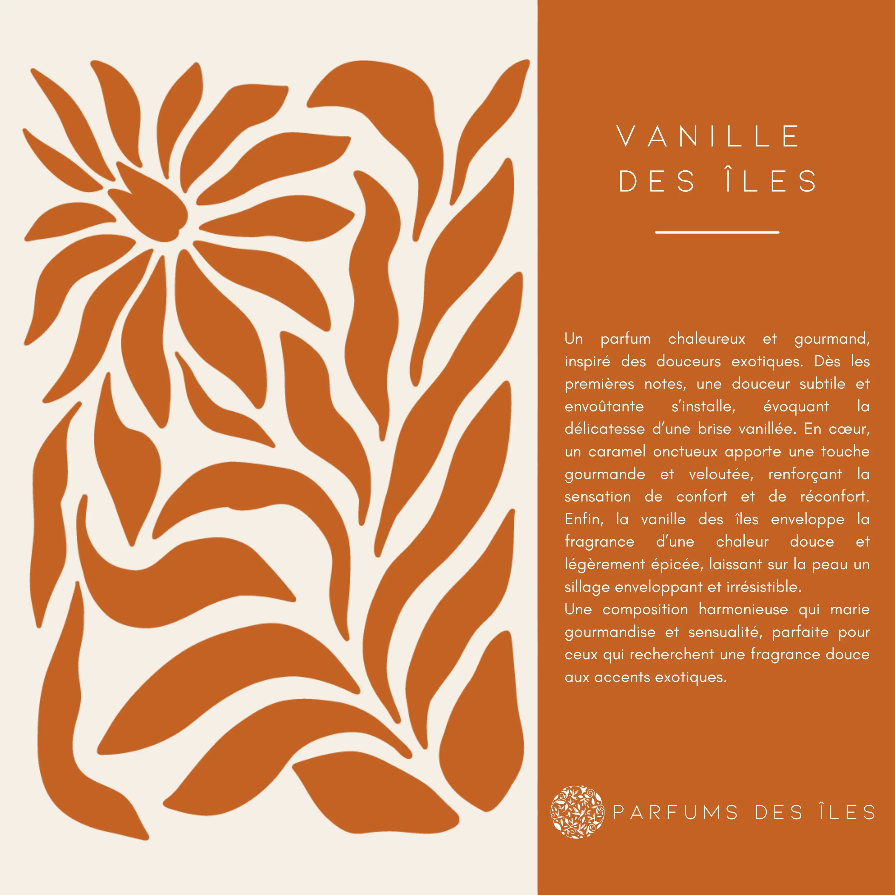 Vanille des Iles - 100 ML Parfums des îles
