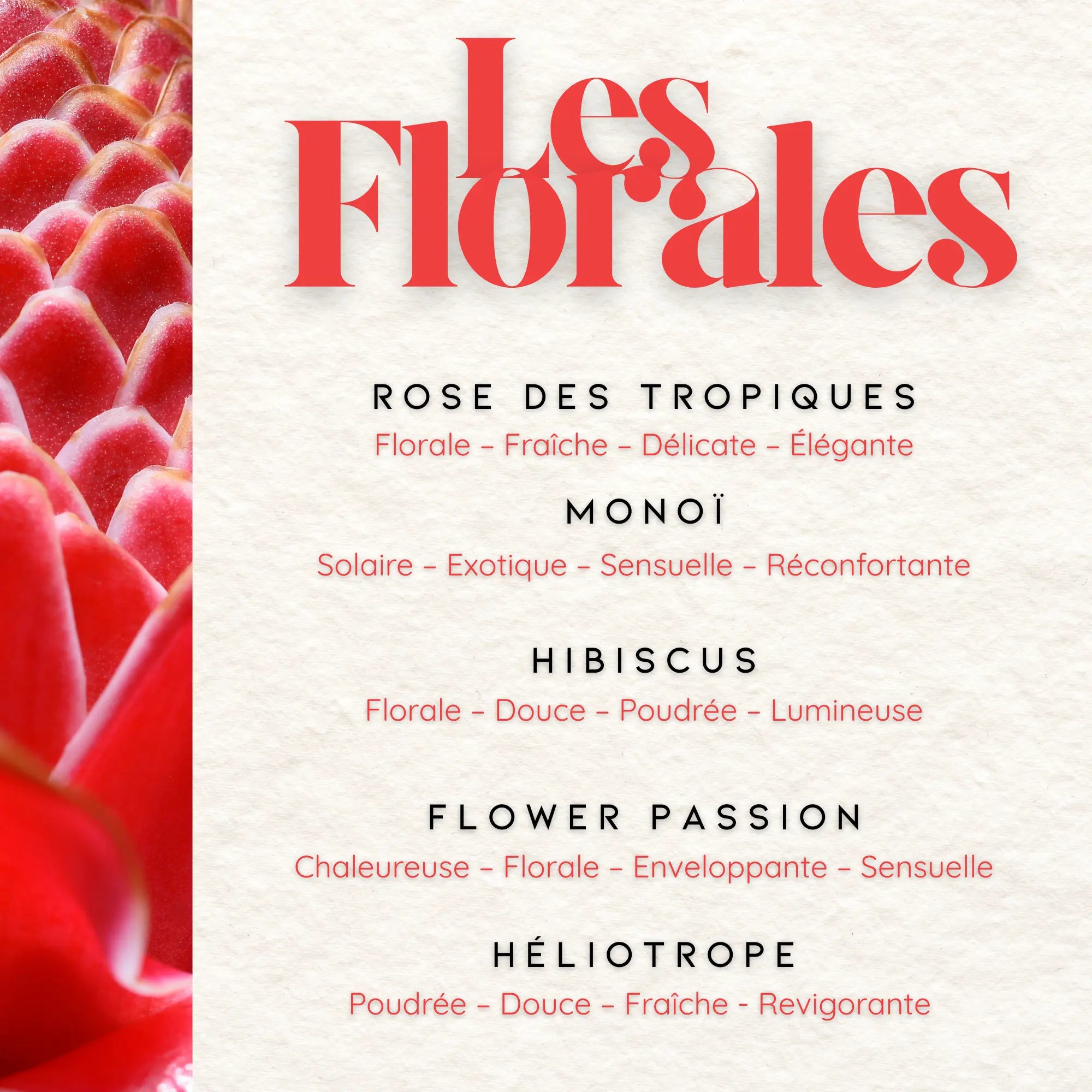 Bar à parfums parfums-des-iles