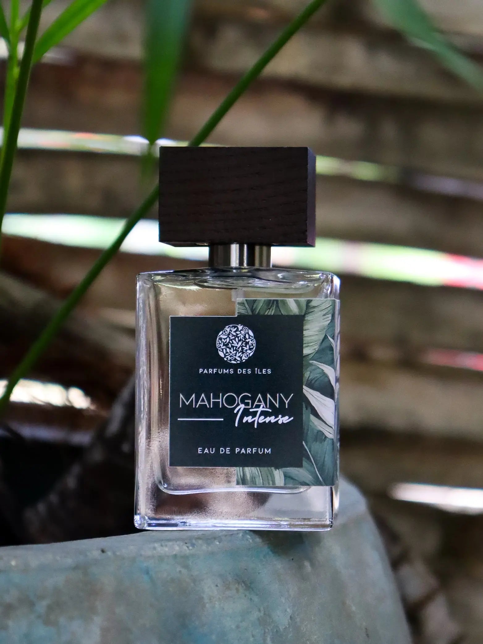 Mahogany - 50 ML Parfums des îles