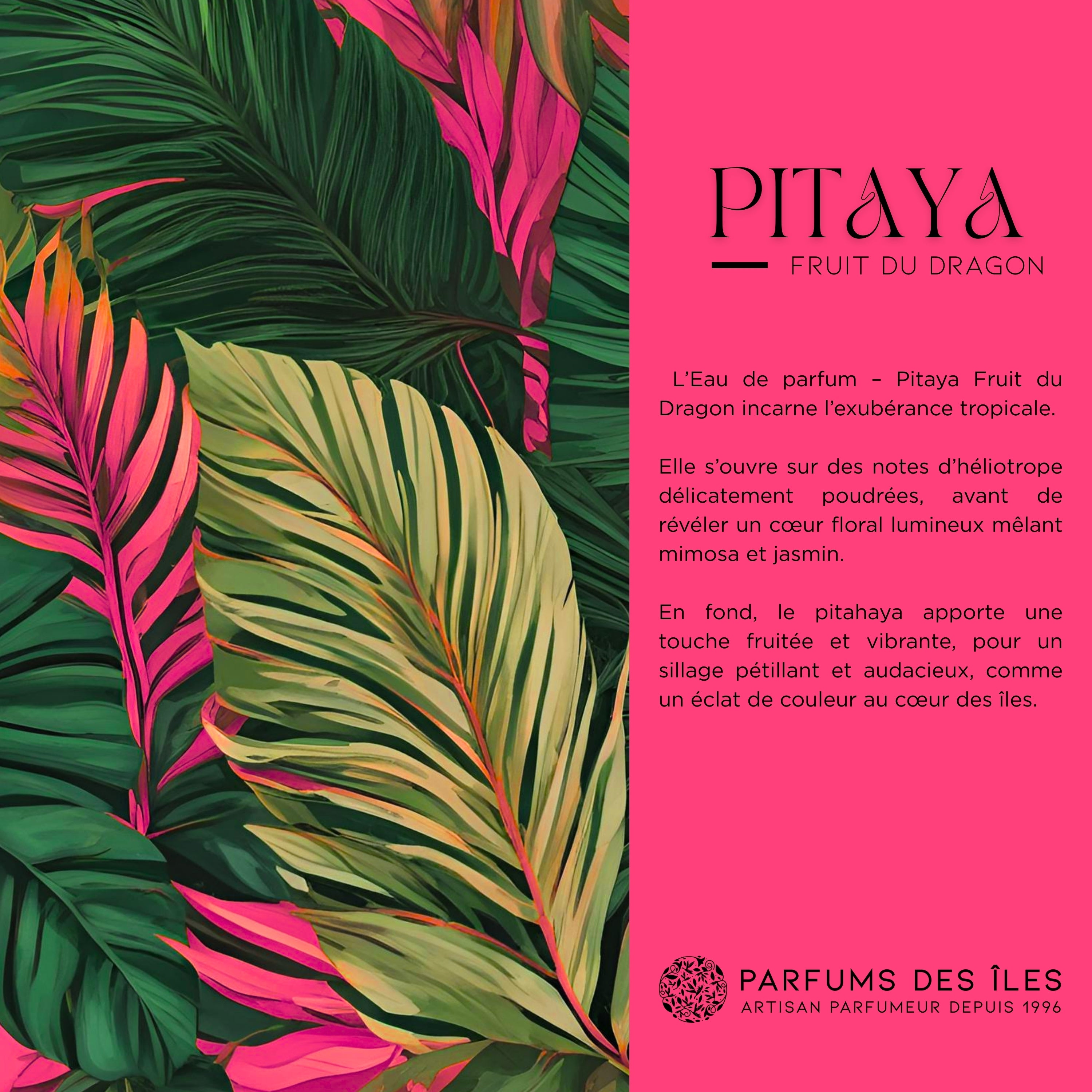 Pitaya Fruit du Dragon