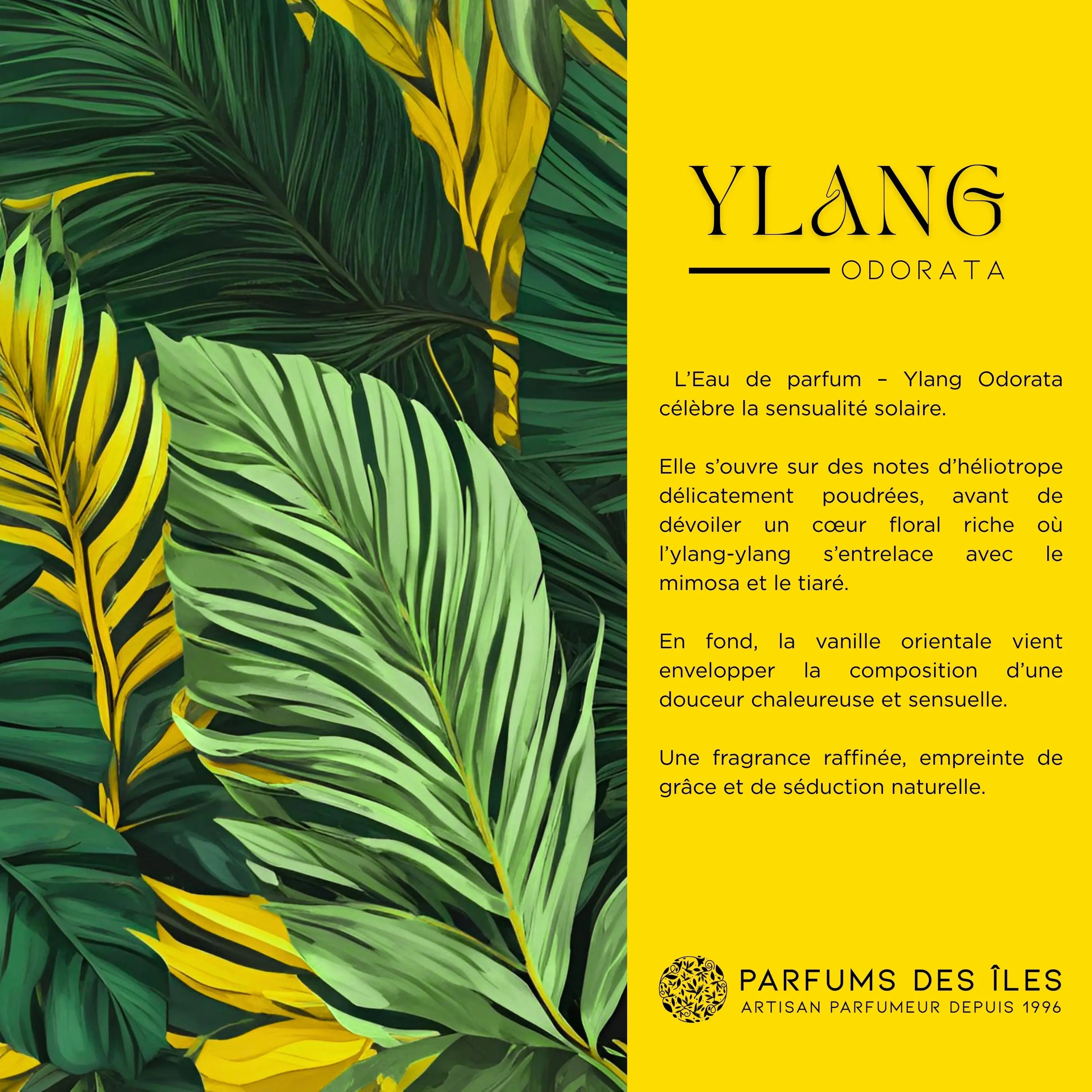 Ylang Odorata Parfums des Iles