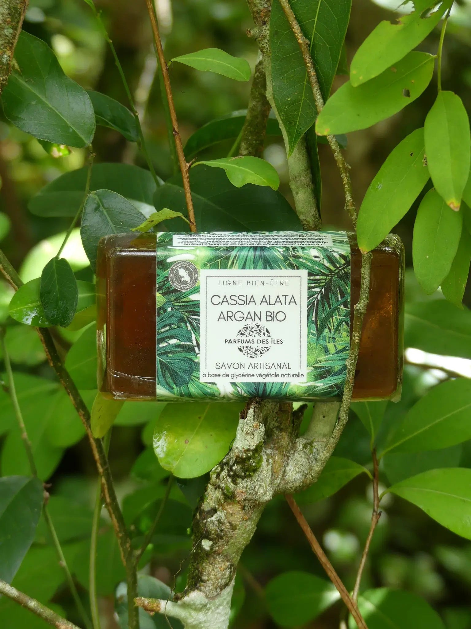 Savons Bien-Être Parfums des Iles