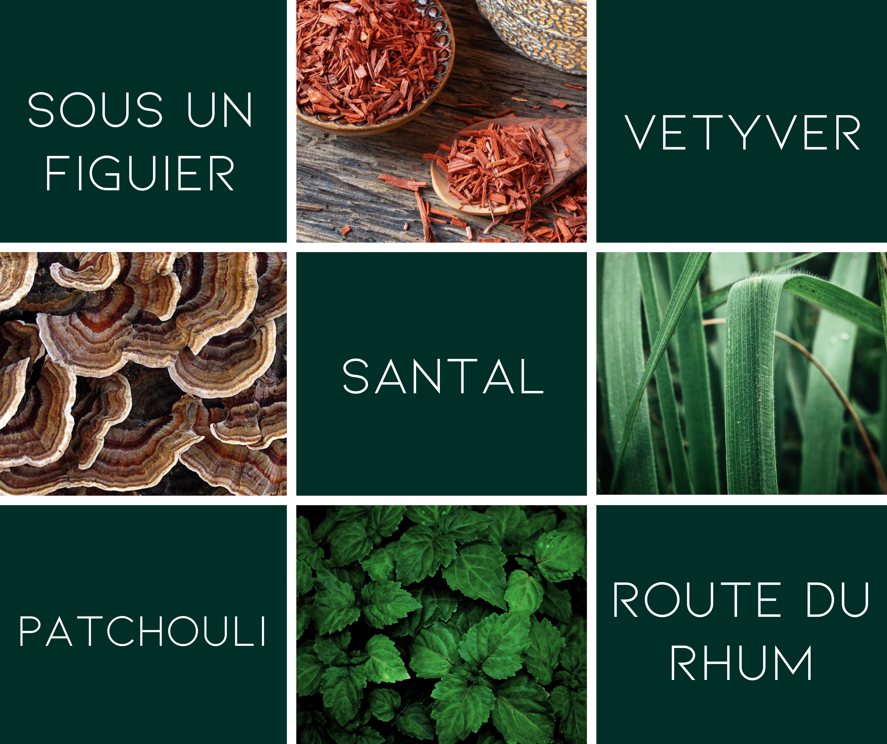 Bar à parfums