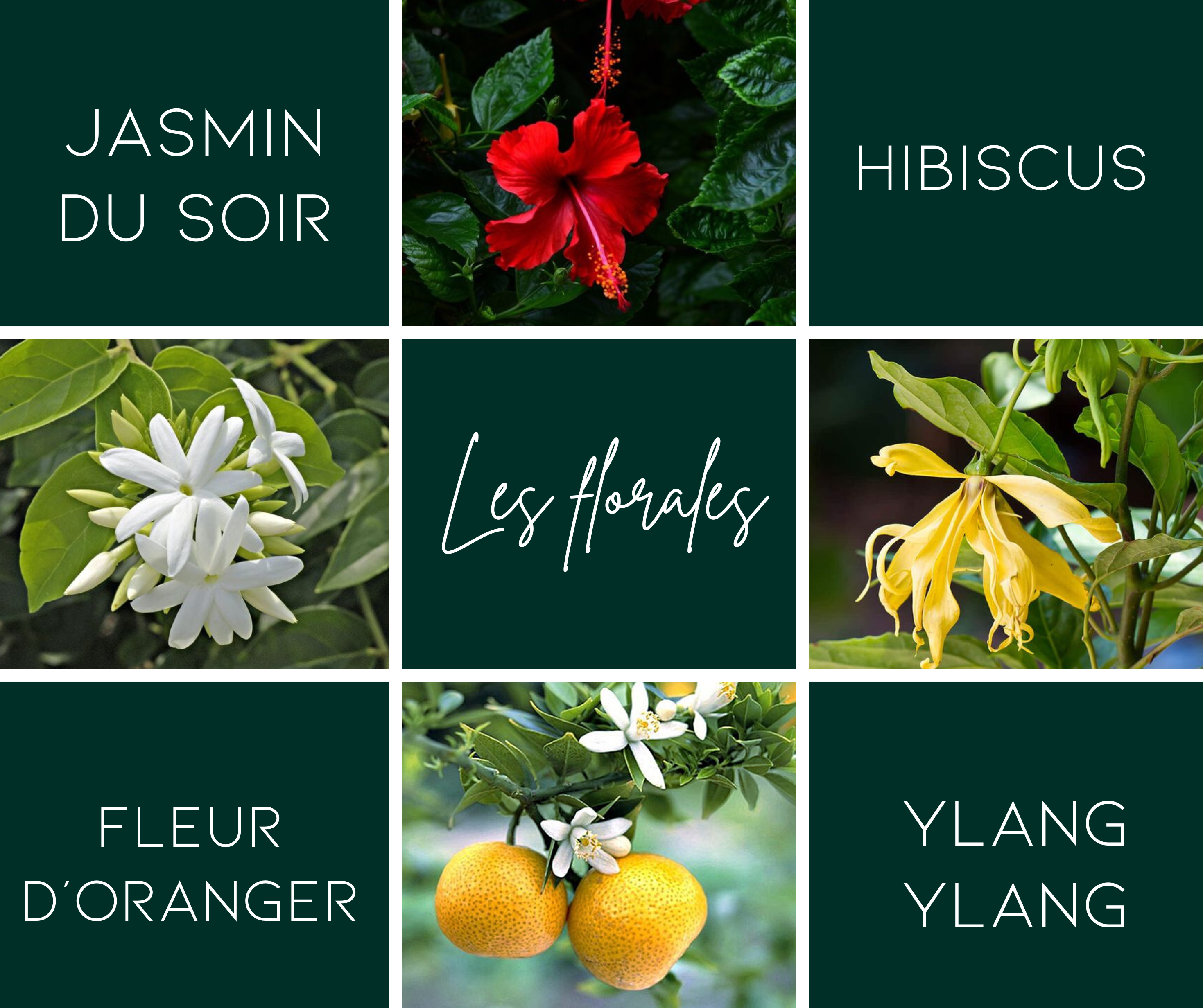 Bar à parfums