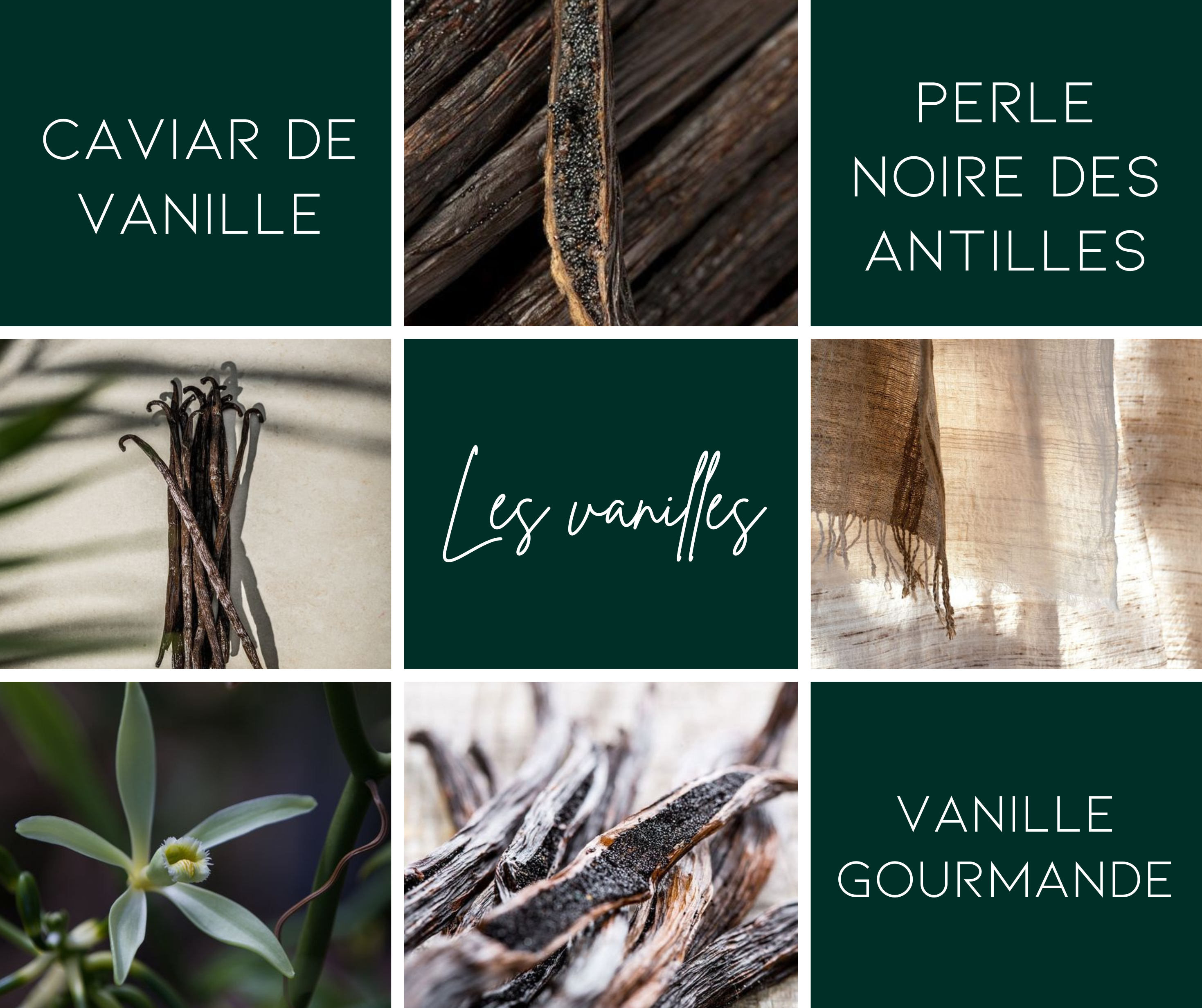 Bar à parfums