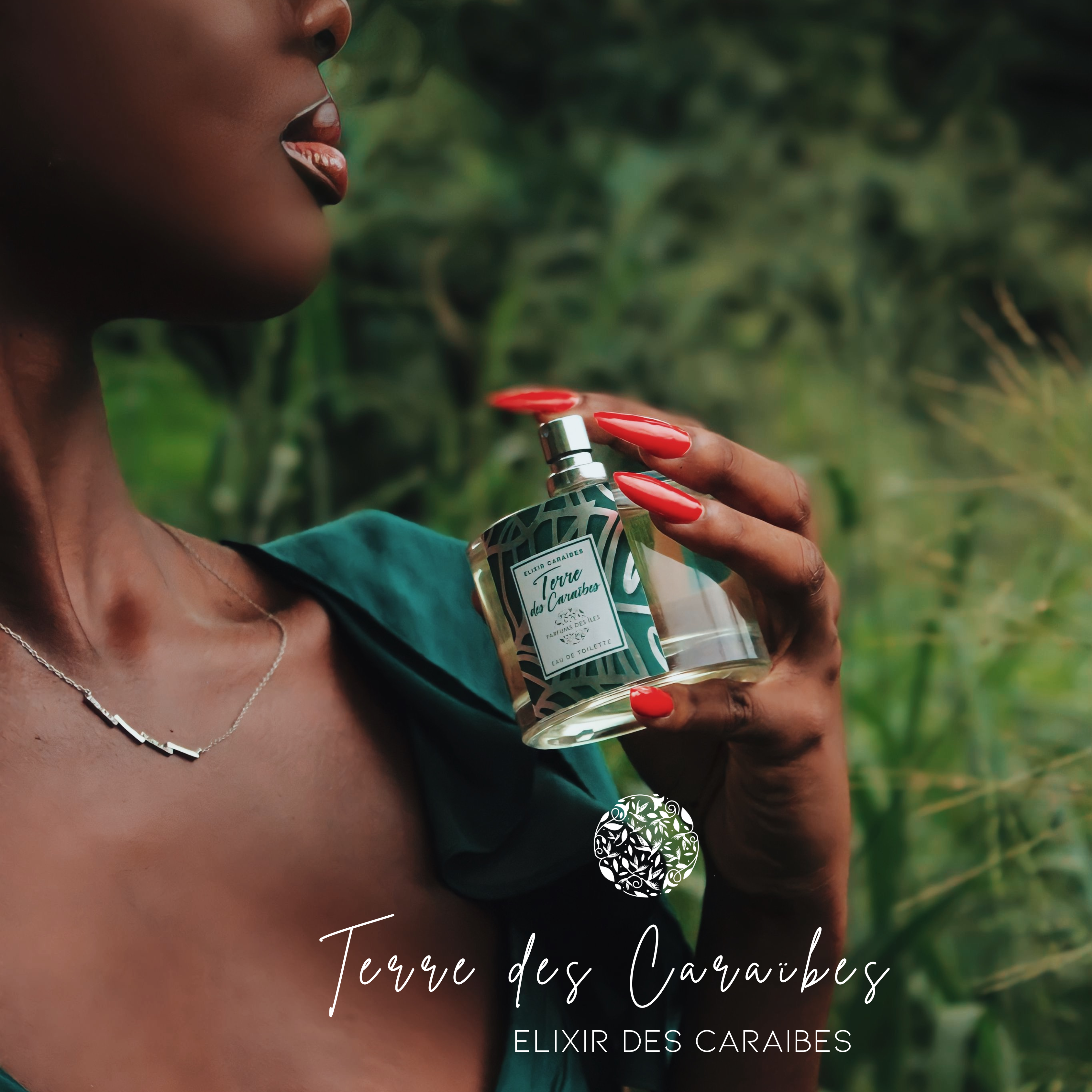 Elixir Terre des caraïbes