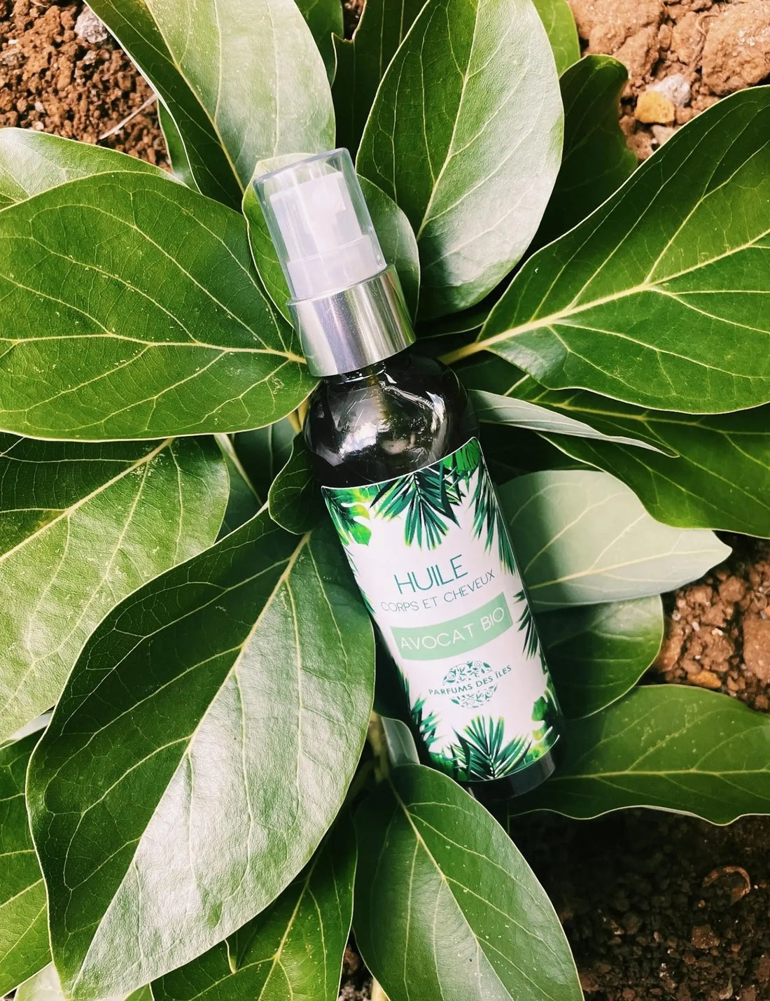 Avocat Bio - Huile végétale Parfums des îles