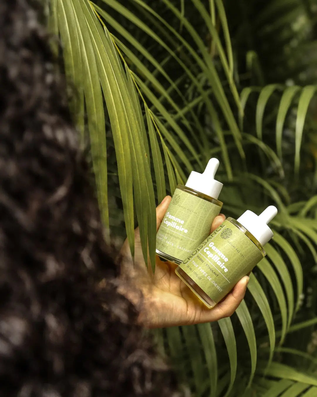 Gamme Capillaire 