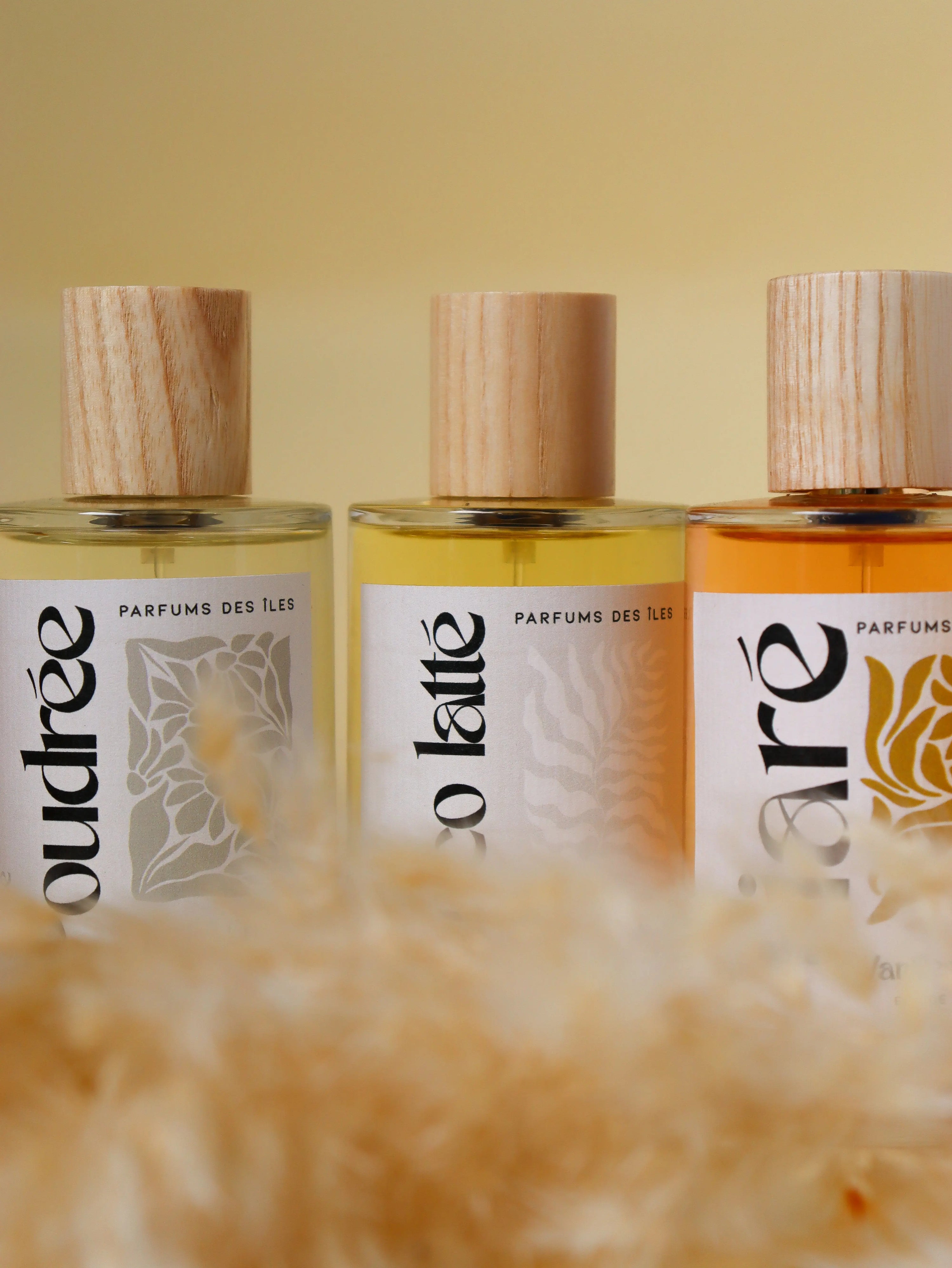 La Vanille dans le Monde de la Parfumerie: Un Parfum d'Exception Parfums des Iles