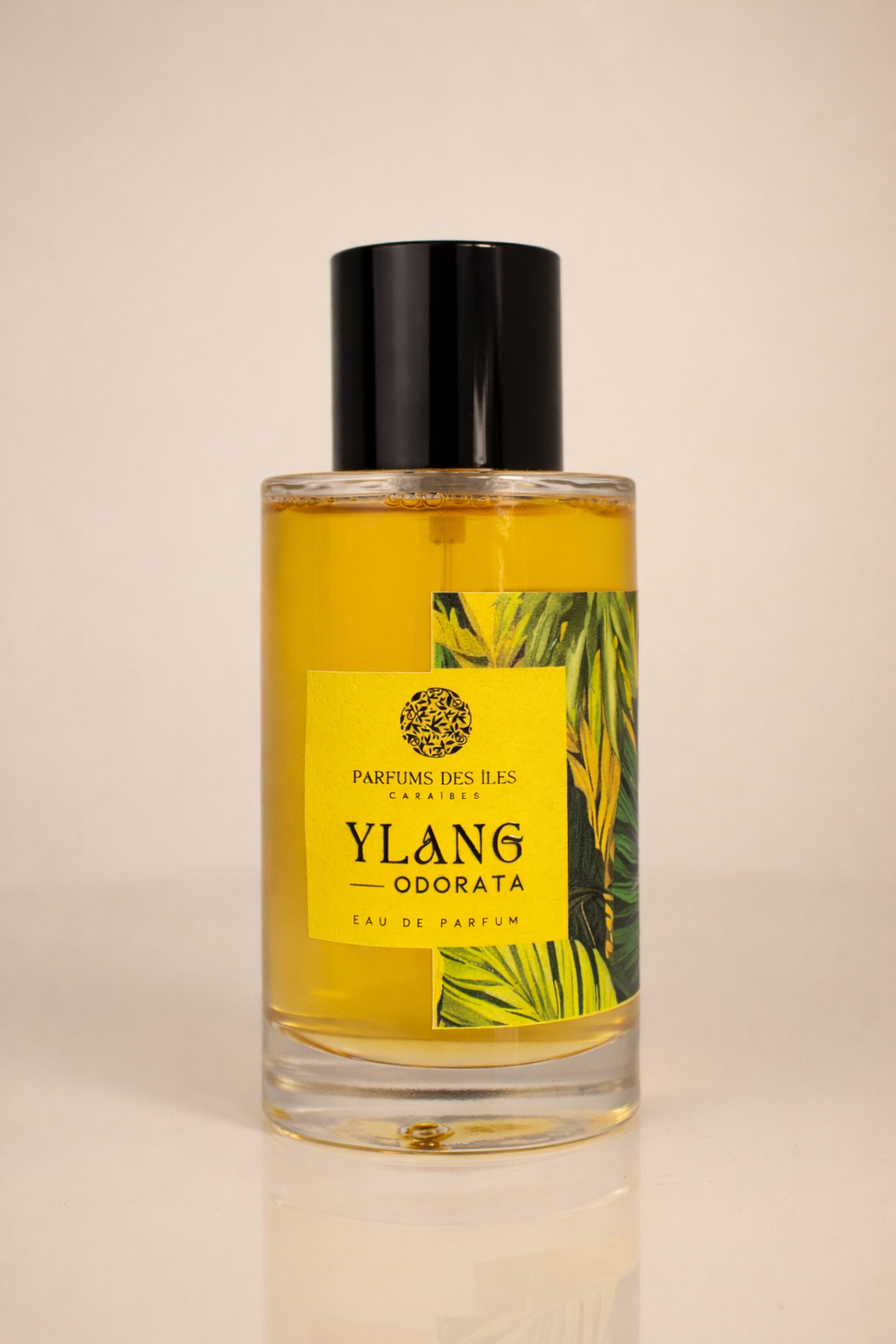 YLANG ODORATA