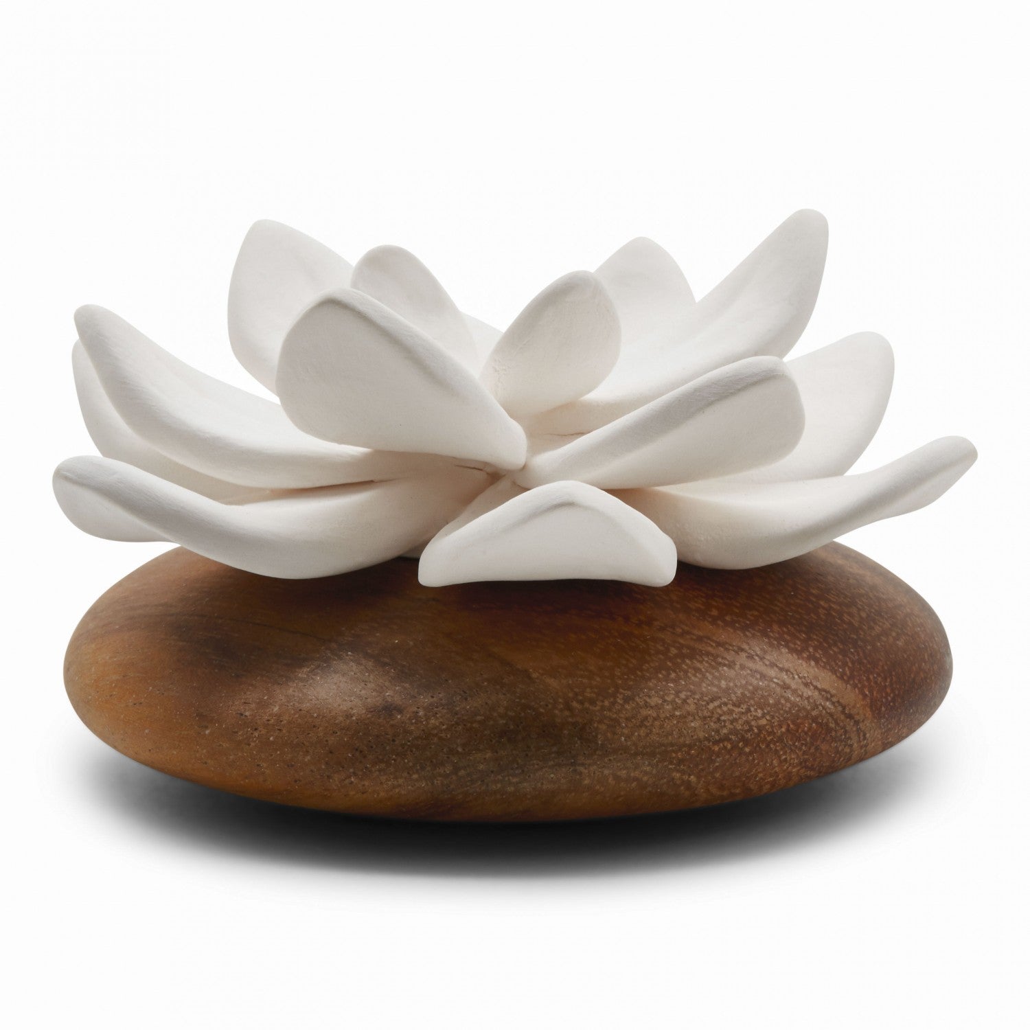 Plâtres de Diffusion