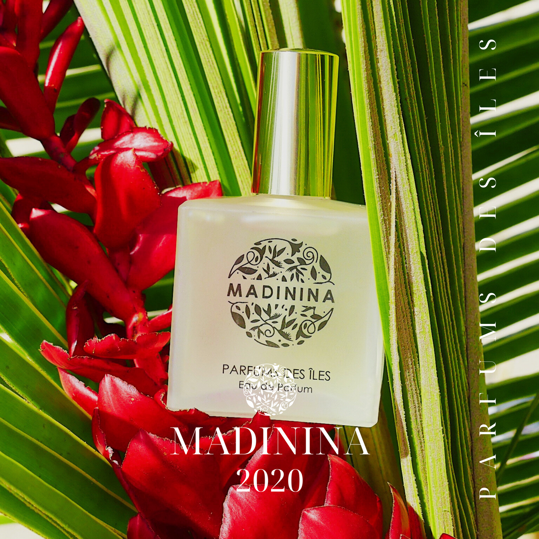 Madinina, Edition 2020