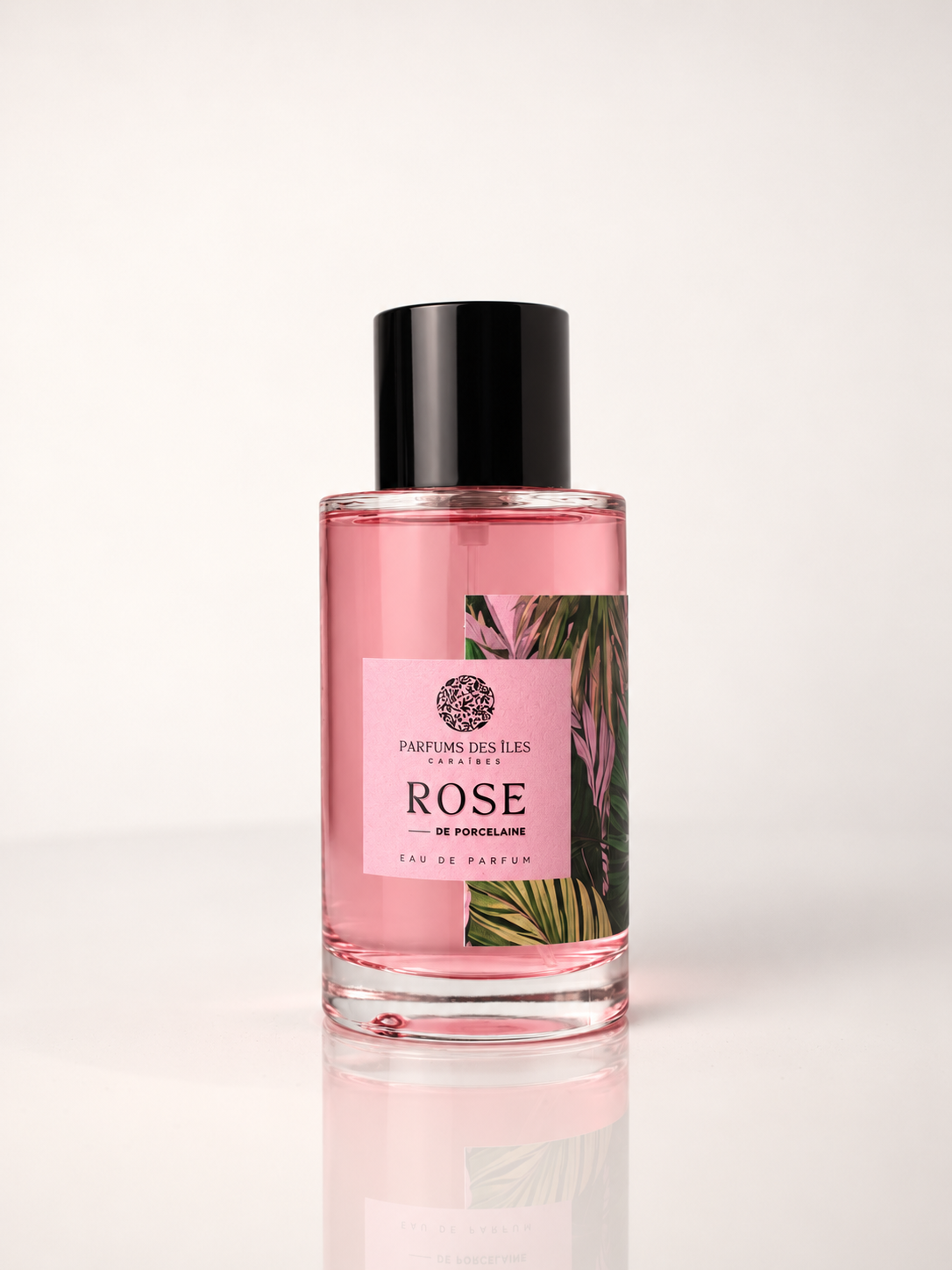 Rose de Porcelaine