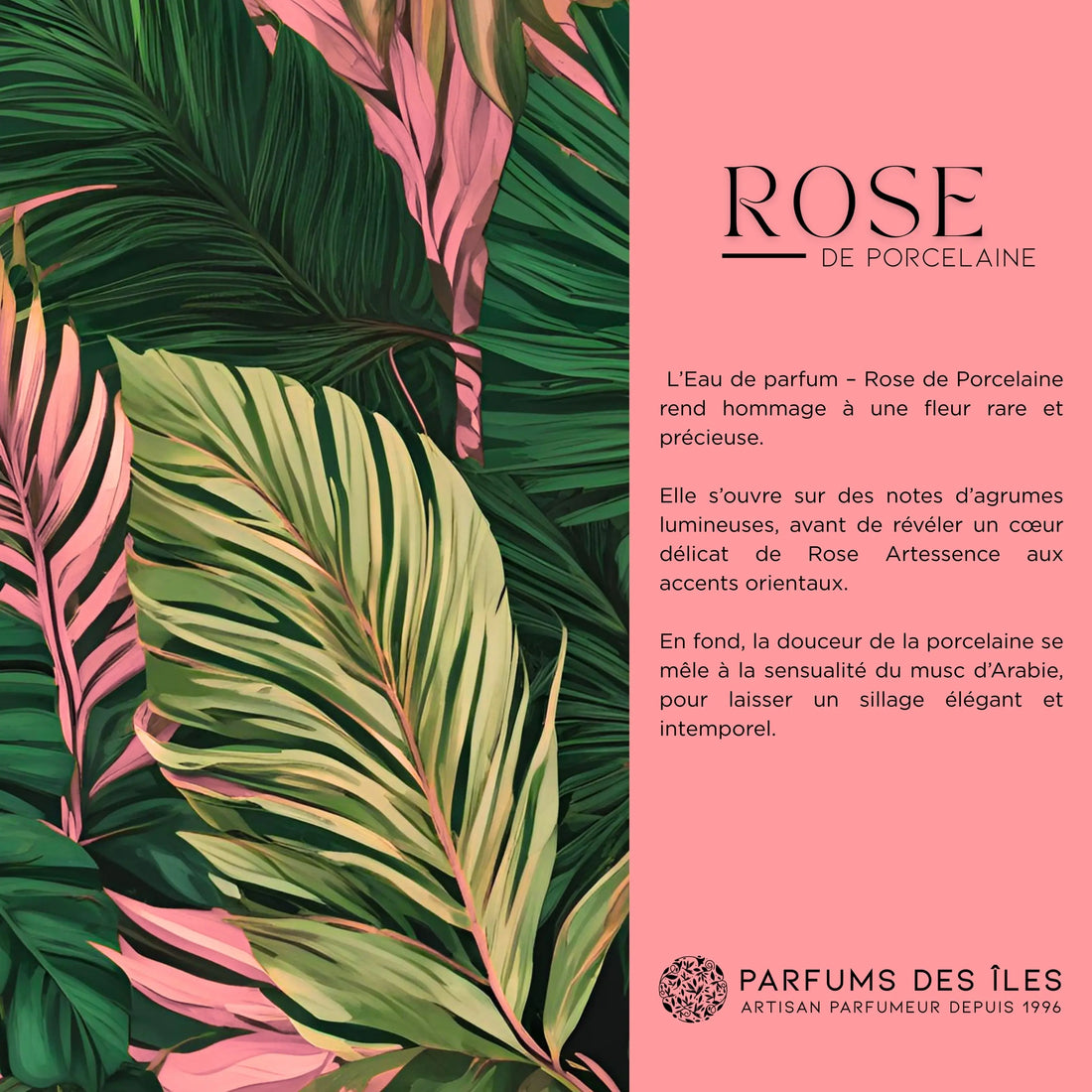 Rose de Porcelaine Parfums des îles