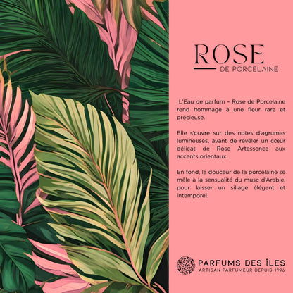 Rose de Porcelaine