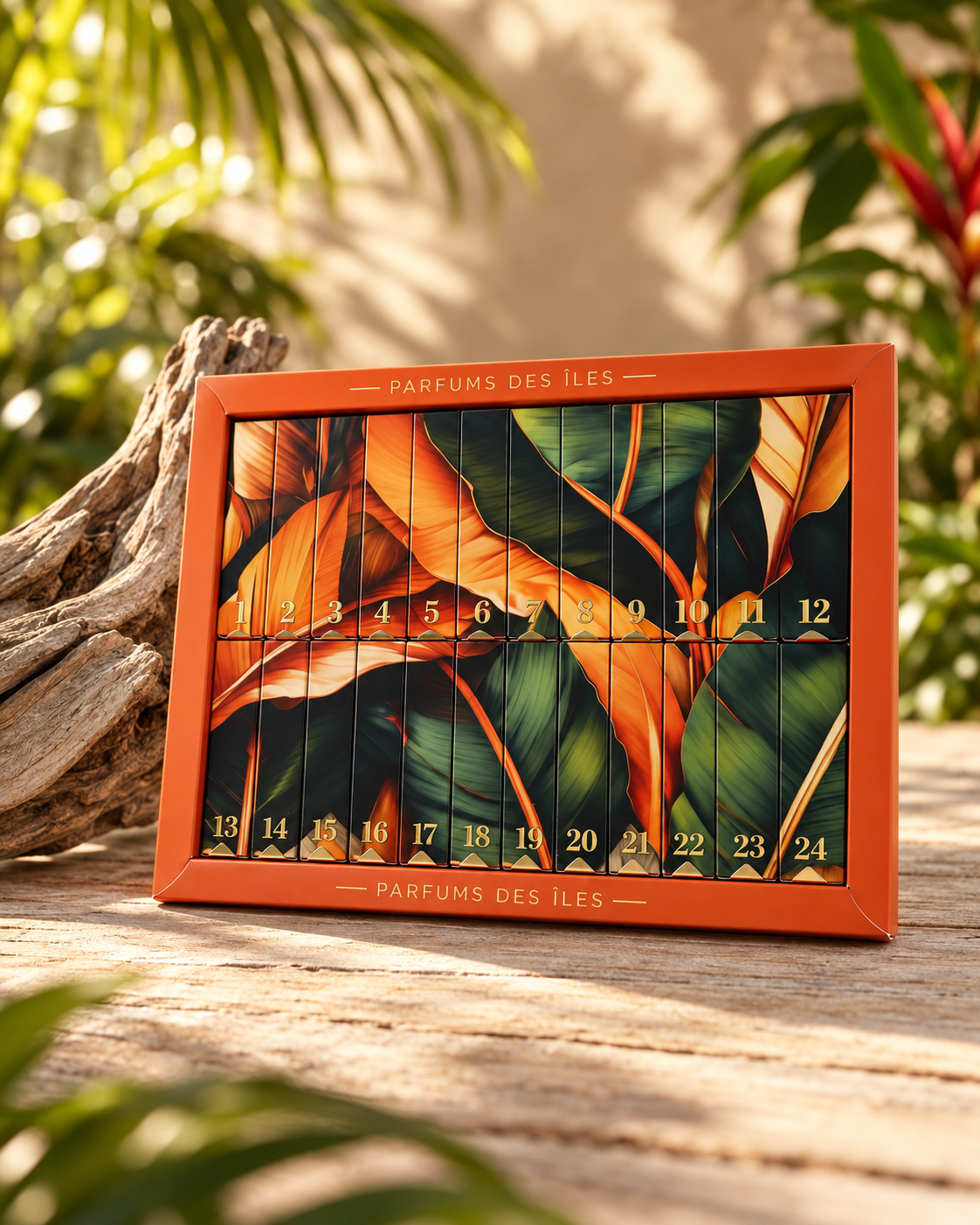 Coffret découverte