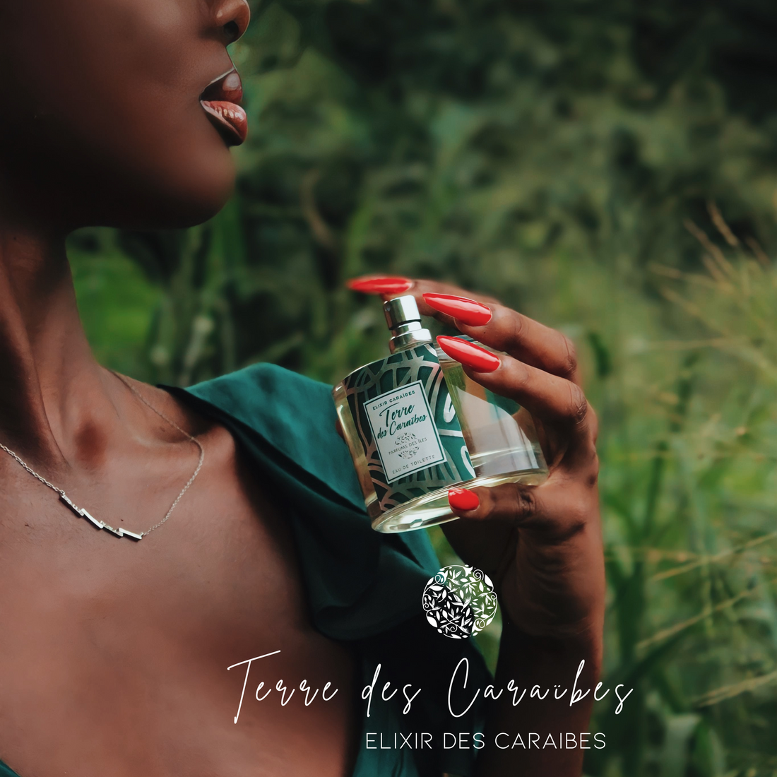 Elixir Terre des caraïbes